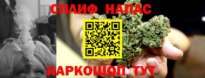 дмт Канаш